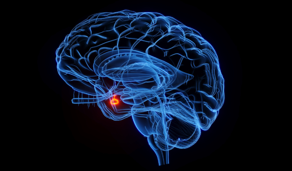 Doenças Neurodegenerativas