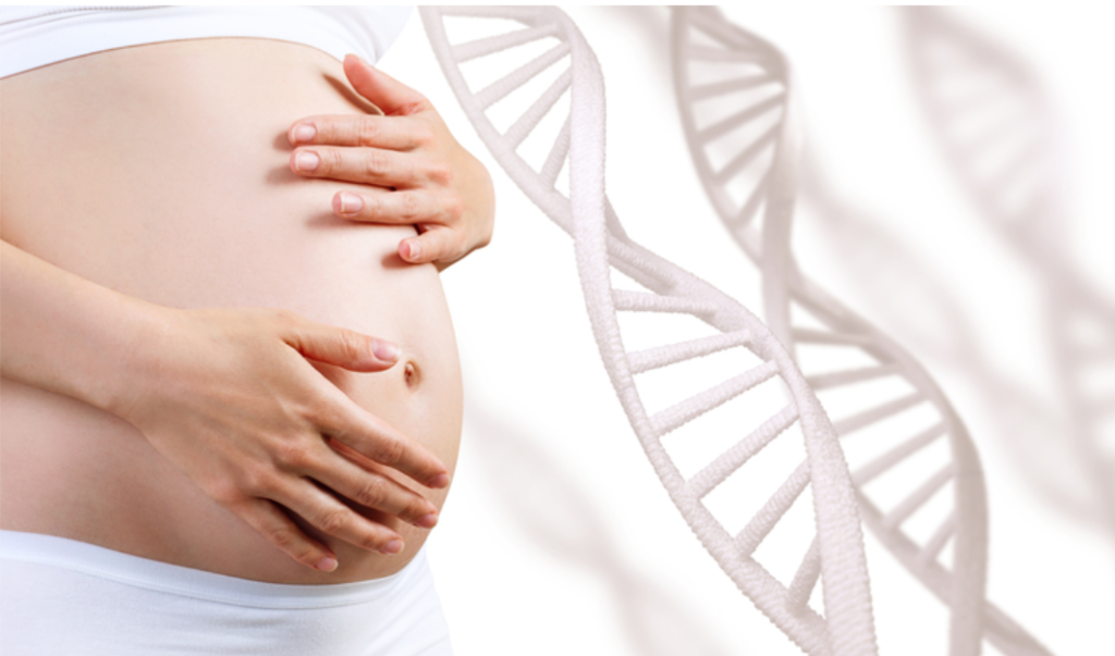 Imagem ilustrativa de uma barriga de grávida ao lado de uma figura de DNA.